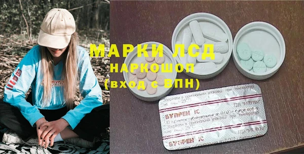 гашик Арсеньев
