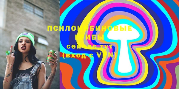 бошки Аркадак
