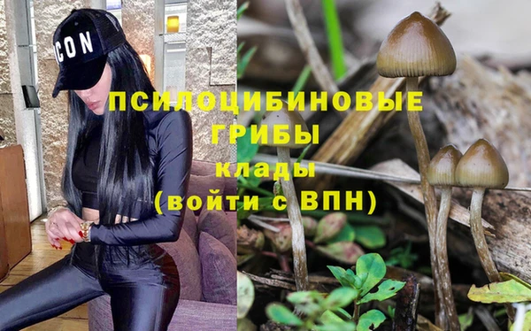 гашик Арсеньев
