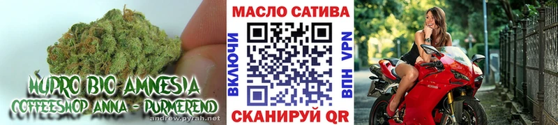 ТГК Wax  Сегежа 