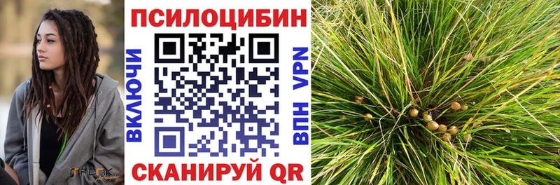 Галлюциногенные грибы прущие грибы  цены наркотик  кракен tor  Сегежа 