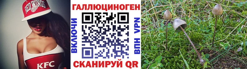 Галлюциногенные грибы GOLDEN TEACHER Сегежа